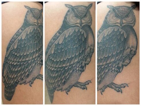 Tatuagem Sombreado Preto e Cinza / Sumiê - Tatuagem Sombreada em tons de preto e cinza, gradientes e texturas feitos com o afastamento dos pontos e diluição do preto / Sumiê.