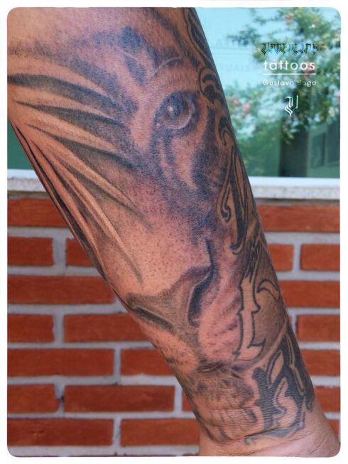 Tatuagem Sombreado Preto e Cinza / Sumiê - Tatuagem Sombreada em tons de preto e cinza, gradientes e texturas feitos com o afastamento dos pontos e diluição do preto / Sumiê.